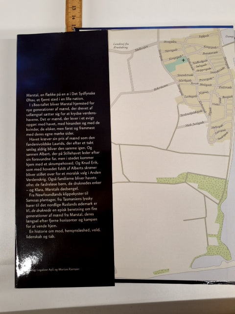 Carsten Jensen VI, DE DRUKNEDE